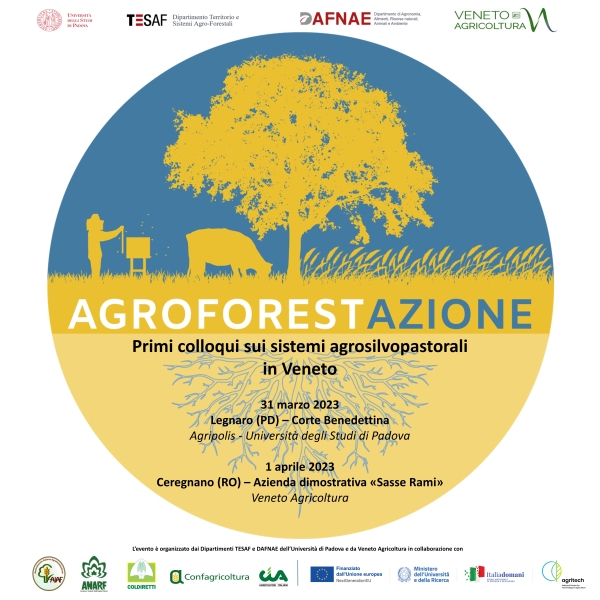 Banner agroforestazione