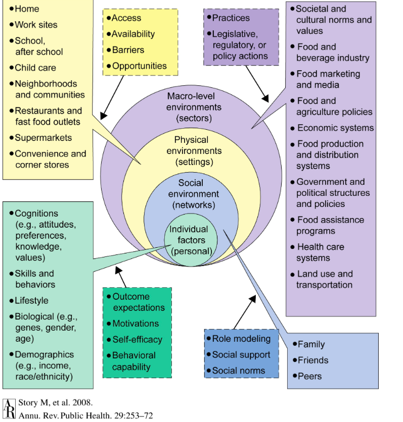 An ecological framework depicting the multiple influences on what people eat