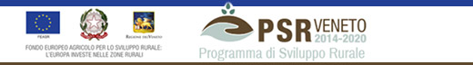 Logo PSR Veneto