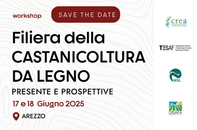 Collegamento a Workshop 'Filiera della castanicoltura da legno. Presente e prospettive'